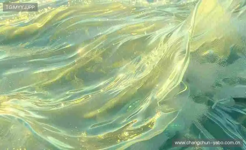 专业团队